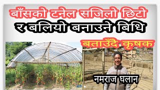 बाँसको टनेल बनाउने सजिलो तरिका,सम्पुर्ण जानकारि सहित tunnel tomato farmingagriculture new