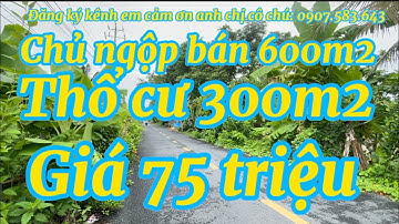 Chủ ngộp thở bán gấp 600m2 đất nền nhà mặt tiền đường nhựa có thổ cư 300m2 giá 75 triệu một m2 ngang