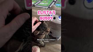 Elista’s Robot Buddy? 😮