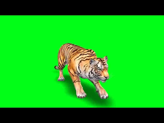 No Copyright green screen tiger effect free download class=