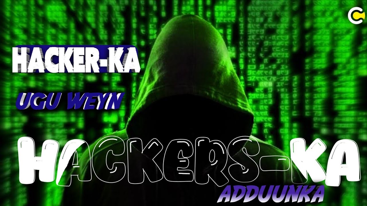 Waxa uu hacking ku sameeyay in kabadan 40 shirkadood |He hacked more than 40 companies|.