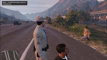 Cops: Live in the LSPDFR Matrix 21