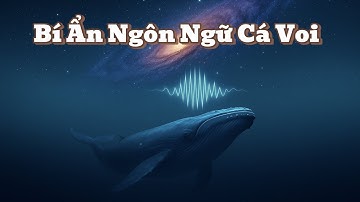 🐋 Bí Ẩn Ngôn Ngữ Cá Voi – Lý Giải Khoa Học Về Tiếng Hát Đại Dương | @BiAnLyGiai 