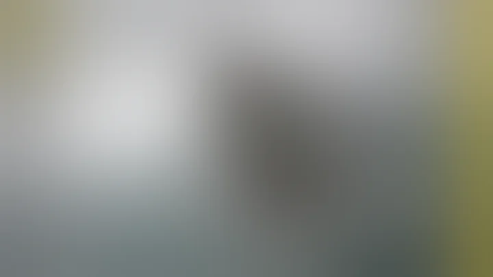 Shark Bite: Unlucky Encounters (Full Episode) | When Sharks Attack