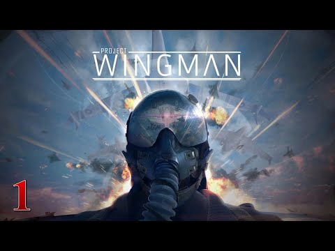 Project Wingman | Прохождение # 1