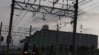 珍運用２２００系２２１０F急行豊川稲荷行き下砂杁信号場近く通過!。