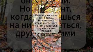 #shorts РАЗНЫЕ ЛЮДИ БЫВАЮТ #дружба #люди #преданность #предательство
