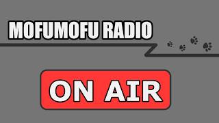 【もふもふ雑談】真夜中の雑談配信（初見さん大歓迎！）【Vtuber/もふもふのもののふ】
