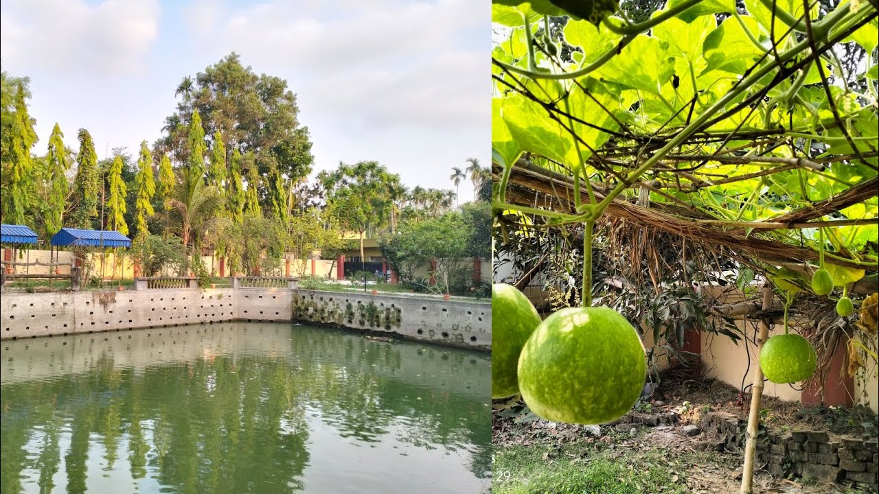 Baganbari TourVegetable GardenFarmhouse tourBengali vlogPicnic