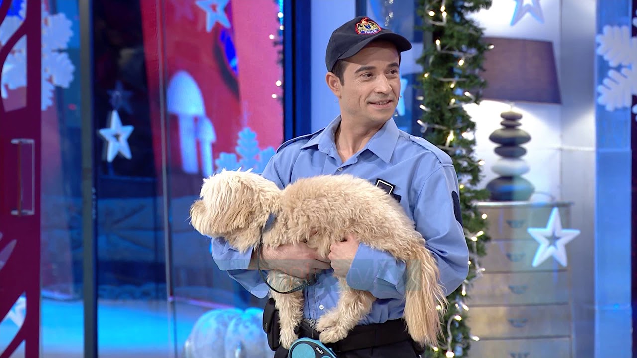 Al Pazar - Policia, Testimi i qenit - 14 Dhjetor 2019 - Show Humori - Vizion Plus