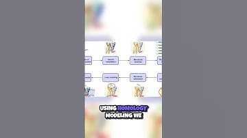 Unlocking Protein Secrets  The Power of Homology Modeling 🔬