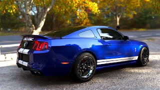 Modded Forza Horizon 6: INSANE Powershift Racing! 1000+HP 2013 GT500 Vs The World/ 1100HP Cars Race!