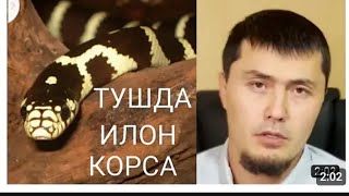 Tushda ilon ko'rsa Umar qori Tush tabiri Haqida Умар Кори Тушда илон корса