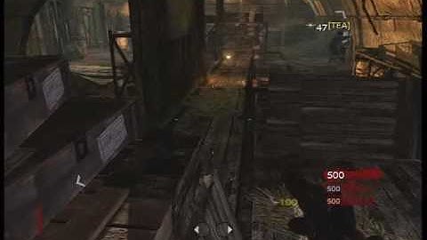 cod: waw Shi No Numa random floating glitches