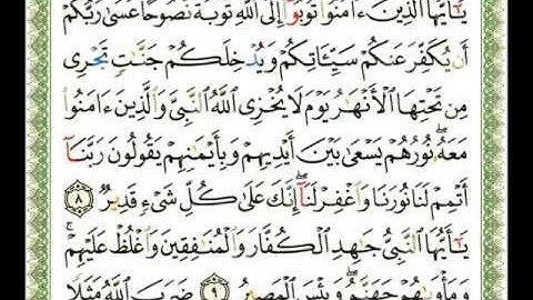 066 - سورة التحريم - شيرزاد عبد الرحمن طاهر