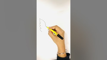 ONE LINE DRAWING ( BIRD)💛