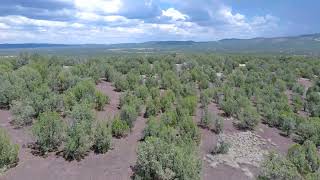 SOLD - 4.77 Acres - With Power & Gravel Road Access! In Williams, Coconino County AZ .