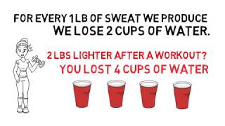 Hydration | Microlesson