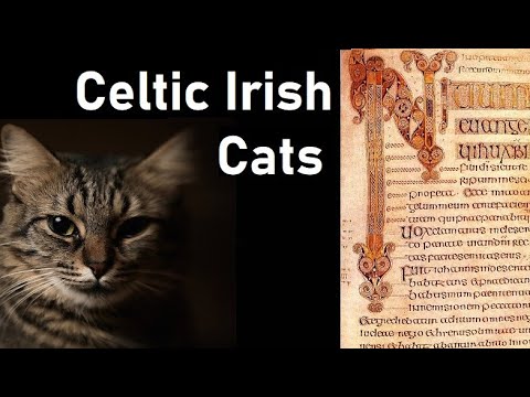 Celtic Irish Cats | December 24, 2019 | Dr Raoul McLaughlin