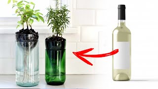 Self Watering Wine Planter - How To Cut Glass Bottle Easily At Home