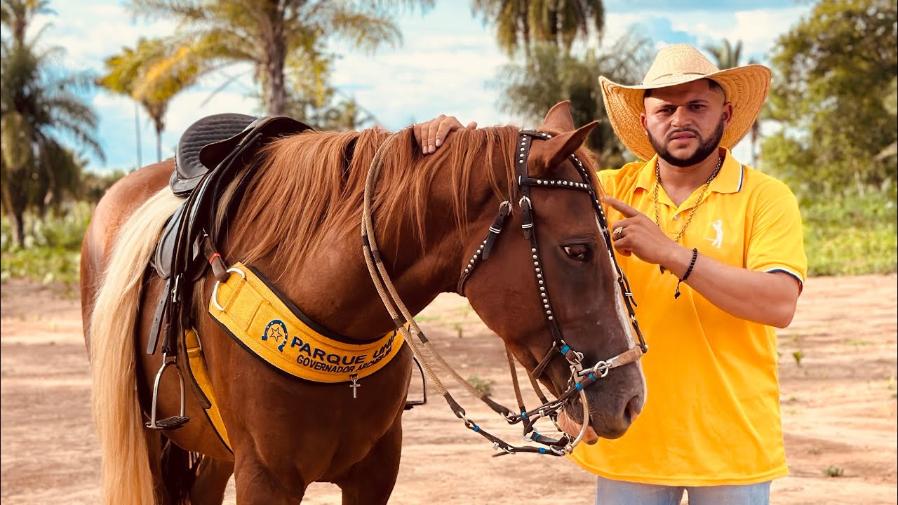 CELYTON VAQUEIRO - (vaqueiro é iPhone) #viral #flaguimmoral #musica #emalta #piseiro 