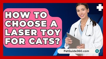 How To Choose A Laser Toy For Cats? - PetGuide360.com