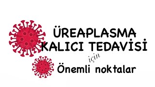 Üreaplasma Tedavisinde Önemli Noktalar