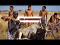 See how hadzabe tribe survive by hunting their food  full documentary