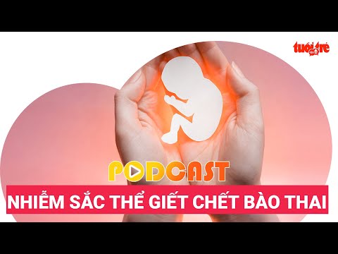 Video: Phê phán hệ thống giá trị của xã hội hiện đại