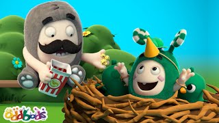 Зи В Поисках Еды🔍 | Чуддики | Смешные Мультики Для Детей Oddbods