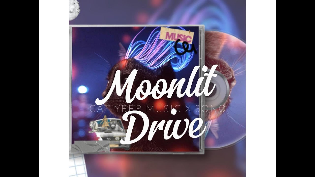 Moonlit Drive 