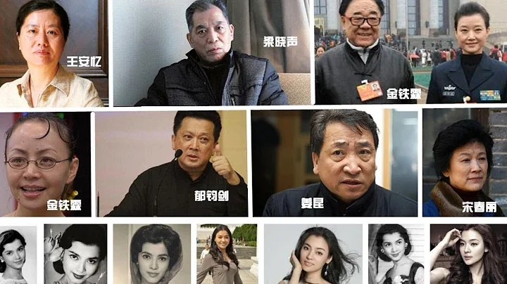 中共政協換屆 不止趙本山、宋祖英出局 大清洗「兩面人」汪洋好下棋 - 天天要聞