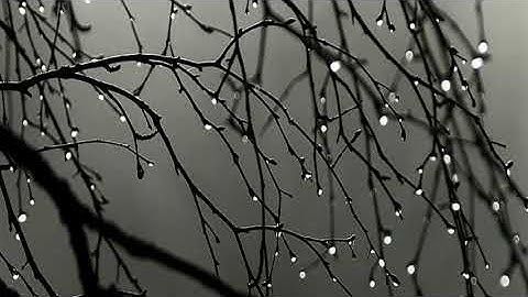 مقطع من سورة الزمر لياسر الدوسري "قُلْ يَٰعِبَادِىَ ٱلَّذِينَ أَسْرَفُوا۟ عَلَىٰٓ أَنفُسِهِمْ"