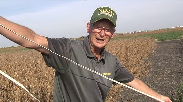 Tile Drainage and Controlled Drainage