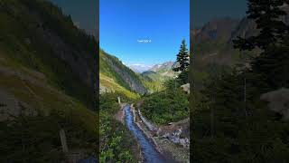 Even Looked Both Ways First