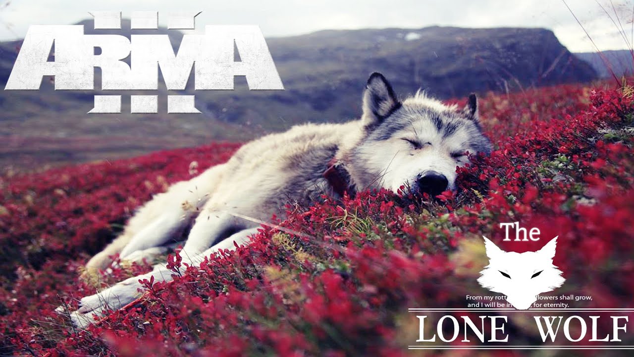 ArmA 3 King Of The Hill GTX 980 ti benchmark