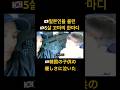 🇰🇷5살 꼬마의 말에 🇯🇵일본인이 울었다