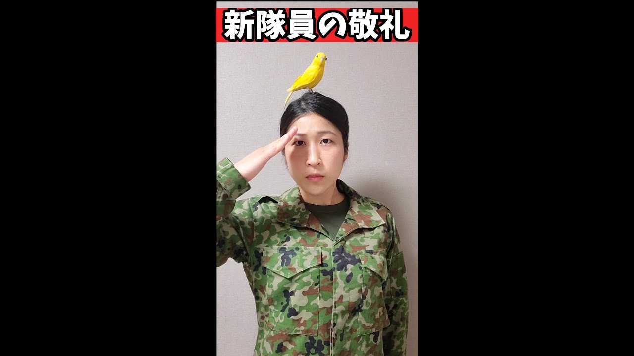 陸上自衛隊あるある 敬礼で見る自衛官の違い Shorts Youtube 陸上自衛隊あるある 敬礼で見る自衛官の違い Shorts Youtube