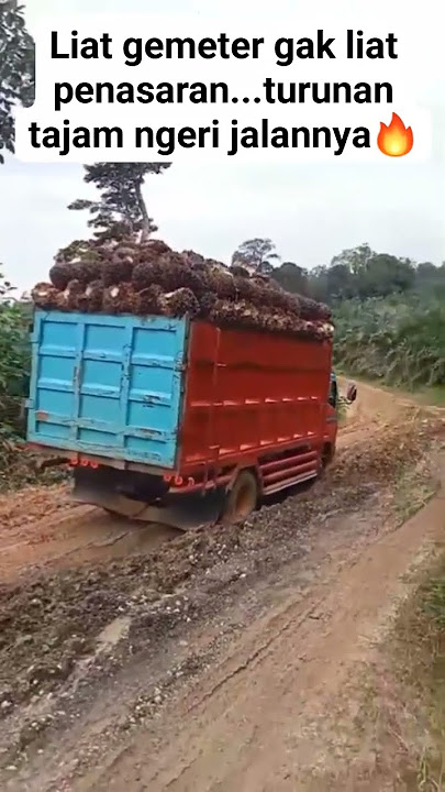 Lihat gemetar Gk lihat penasaran😱#masukberandayoutube #automobile #driver #fypyoutube #pejuangrupiah