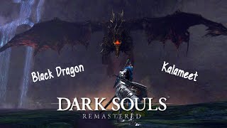 Dark Souls Remastered: #24 Black Dragon Kalameet