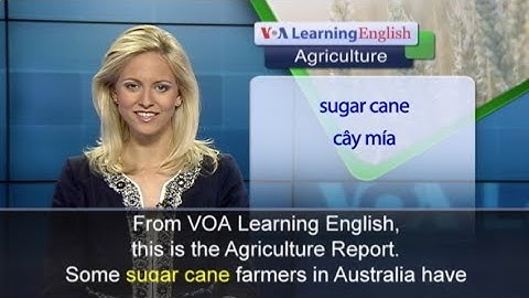 Phát âm chuẩn cùng VOA - Anh ngữ đặc biệt: Science Farming (VOA)