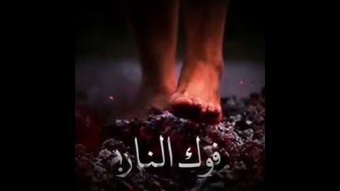اجمل شعر عن الصداقه