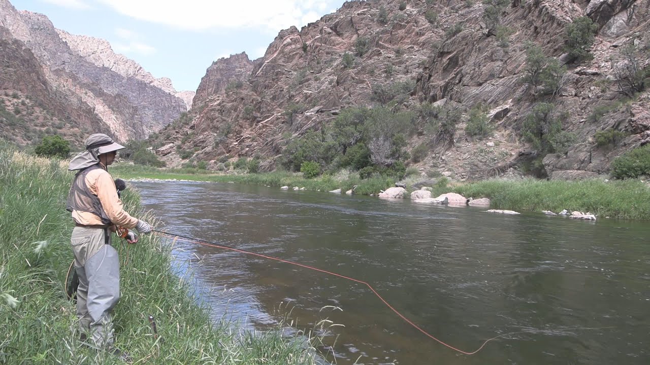 Близкий вызов в Ганнисон-Ред-Рок-Каньон, Колорадо