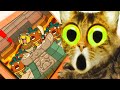 Cat and Funny games - Games video - Banana man part 2