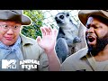 Tim & Darren Gets REAL Close To Hungry Lemurs & Hissing Cockroaches | MTV's Animal Style