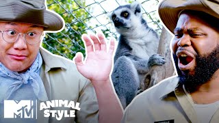 Tim & Darren Gets REAL Close To Hungry Lemurs & Hissing Cockroaches | MTV's Animal Style