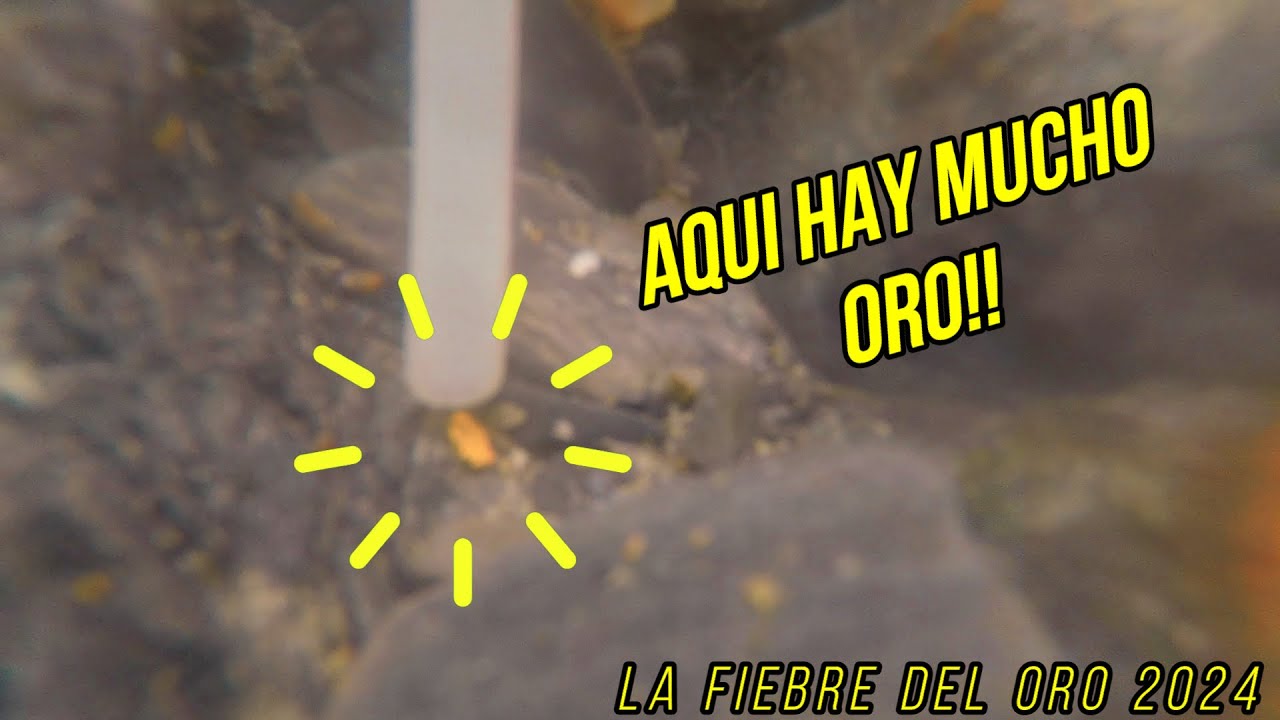 AQUI HAY MUCHO ORO!! 7 gramos!! LA FIEBRE DEL ORO 2024!! SMICKS GOLD ...