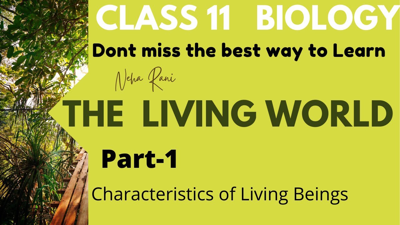 The Living World class 11 Biology Chapter 1 Part-1 - YouTube