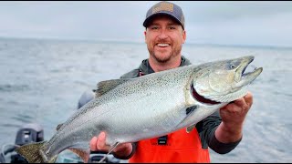 CRUSHING Giant Lake Michigan Summer King's!!!...2023...Catch & Cook...From a Hidden Gem.