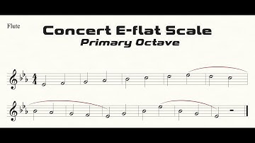 Flute Eb Scale Practice in Half Notes (Primary Octave)